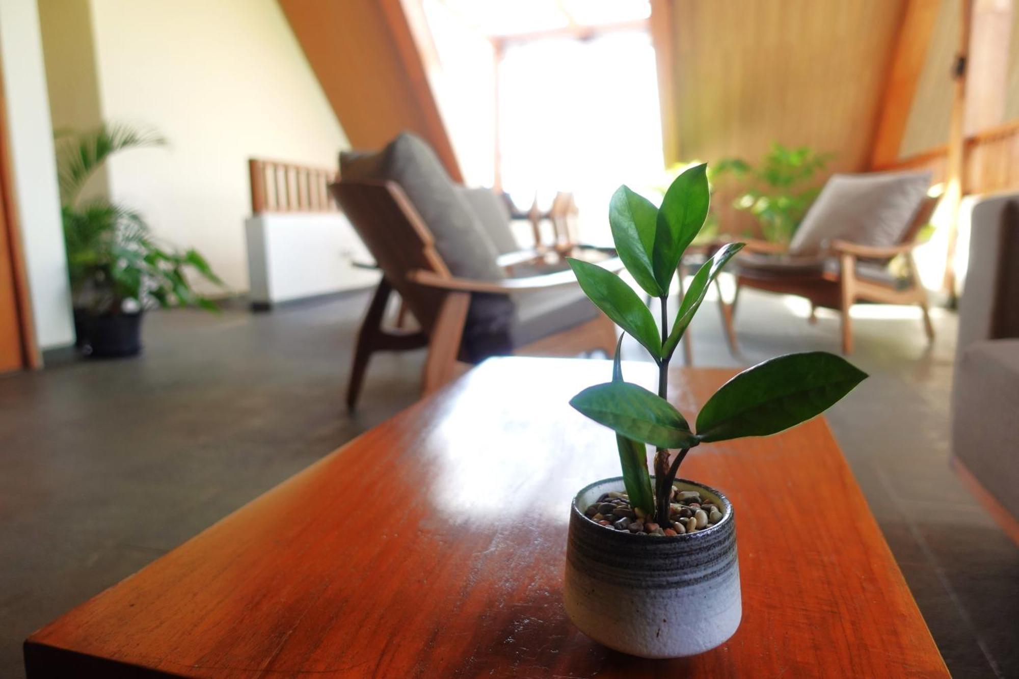 The Vinaya Boutique Hotel Ubud Exterior foto
