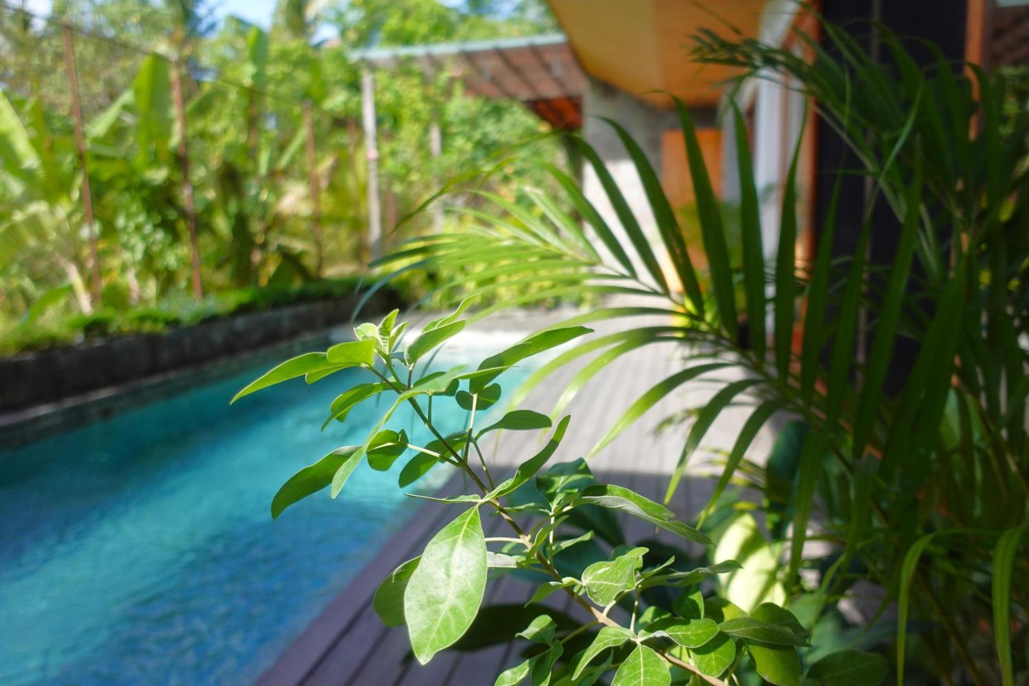 The Vinaya Boutique Hotel Ubud Exterior foto